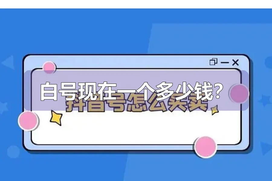 白号现在一个多少钱？